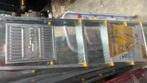 High Quality Stainless Ladder