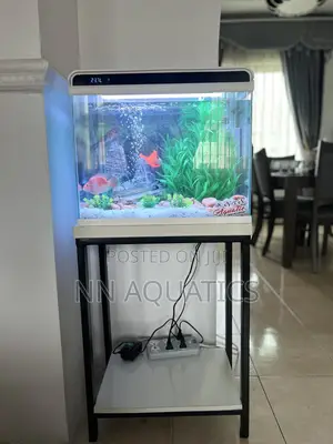 42 Litters Aquariums