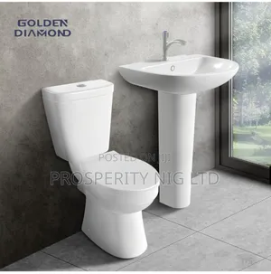 Top Flush Toilet