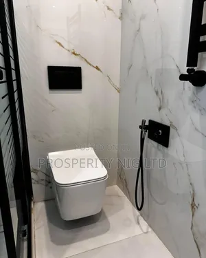 Condict Wall Hung Toilet