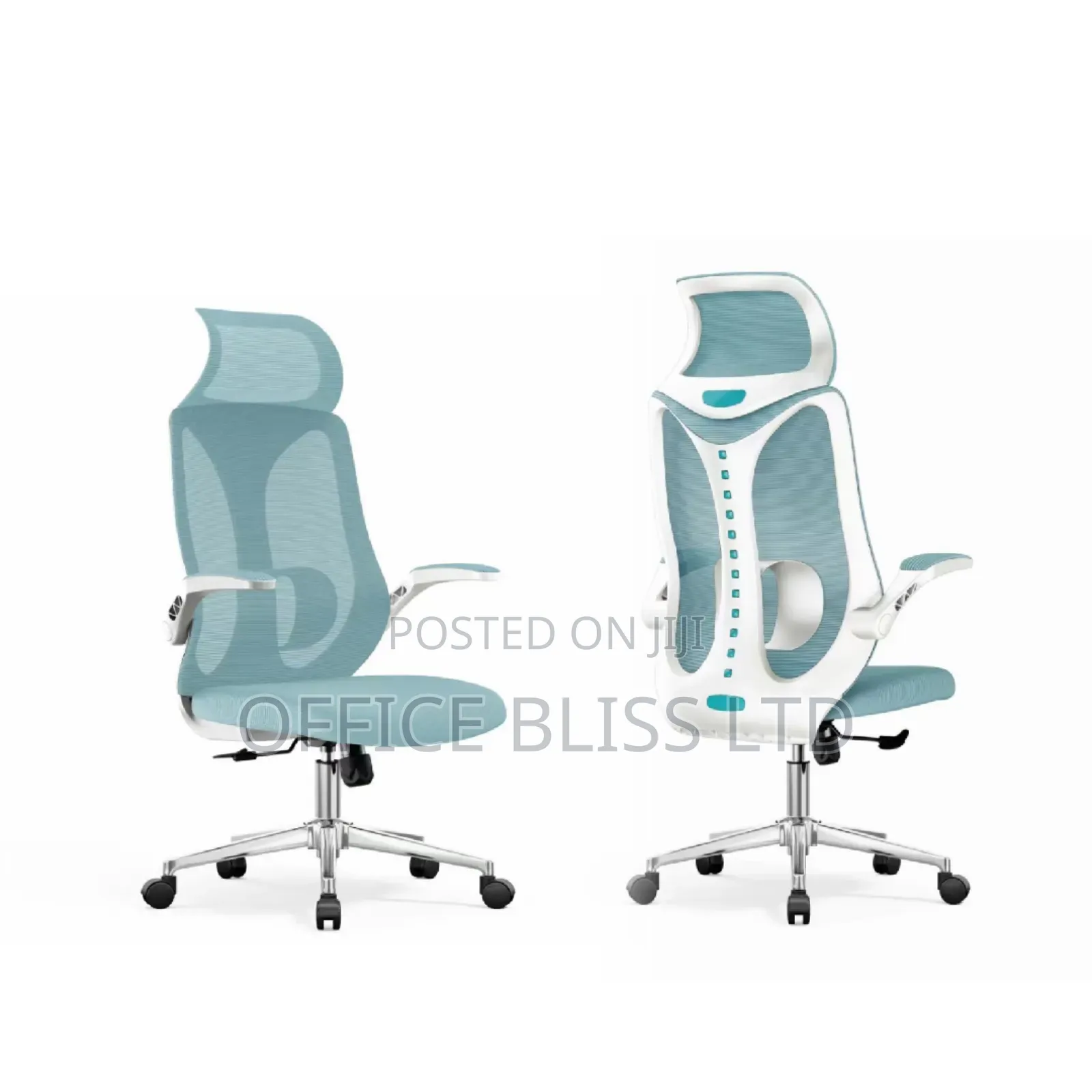 Executive Ergonomic Swivel Mesh Office Chair