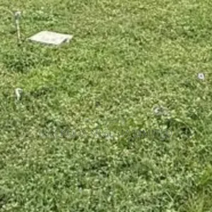 365sqm Table Land , Fenced With Gate In Nelson Cole Estate