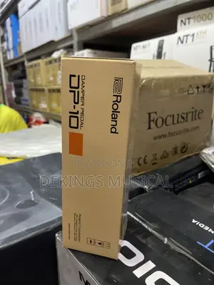 Roland Dp-10 Damper Pedal