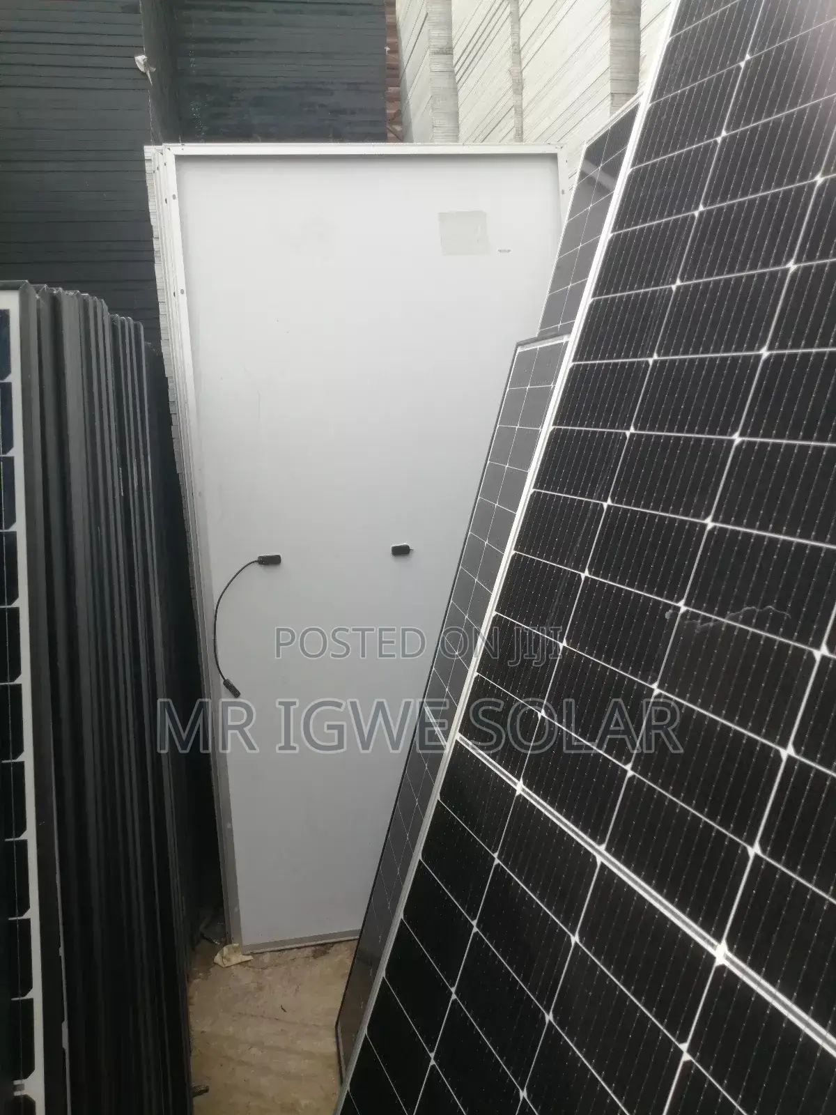Jinko 600 Watts Panel