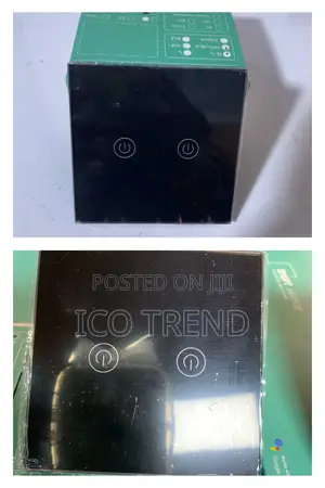 2 Gang Tuya Wifi Smart Light Switch,Smart Life, Alexa,Google