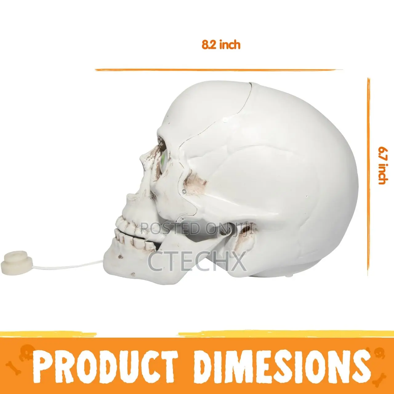 Skull Table Centerpiece Decoration