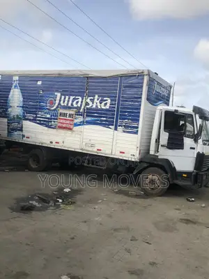 Professional Movers