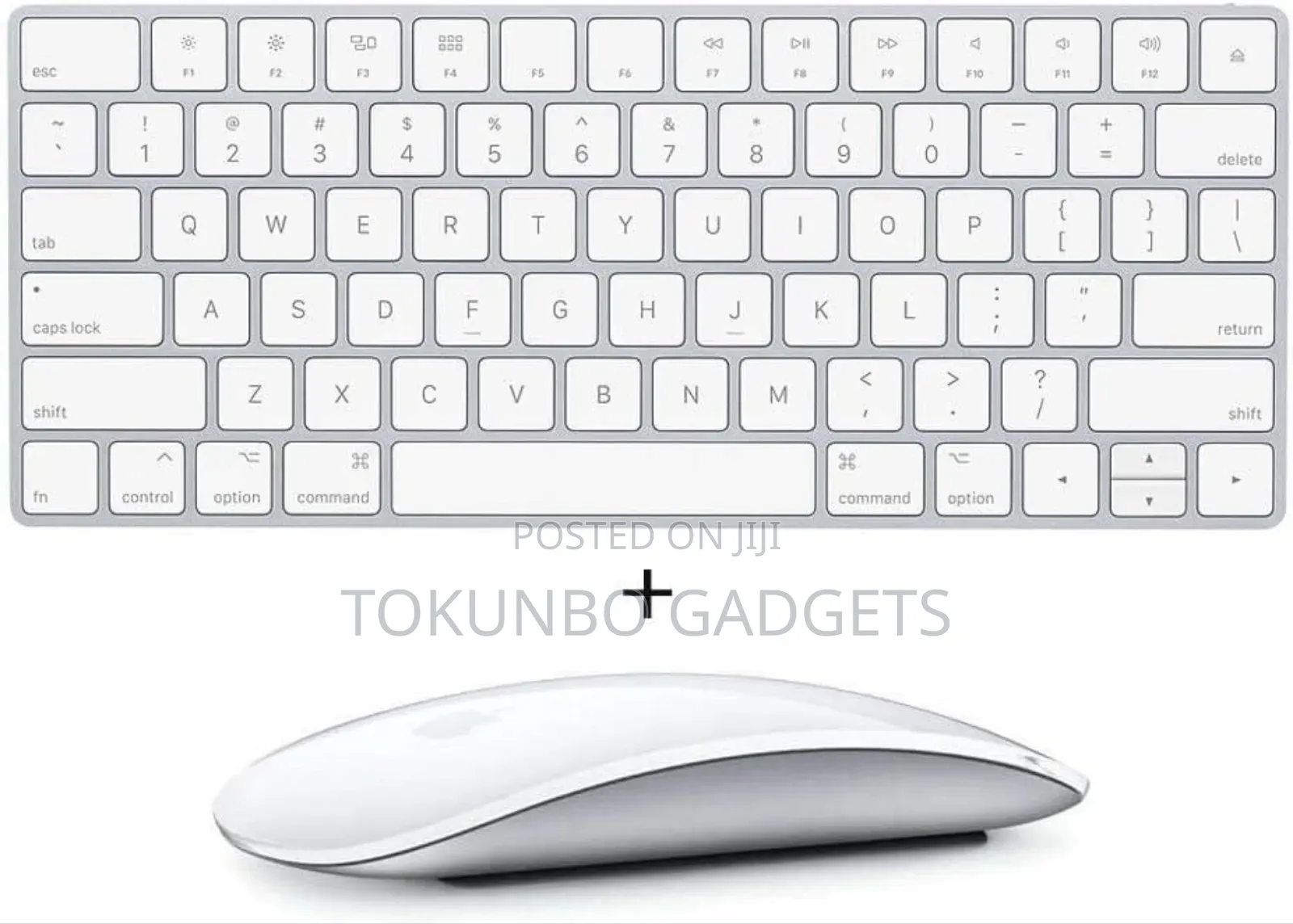 Apple Magic Keyboard 2 and Magic Mouse