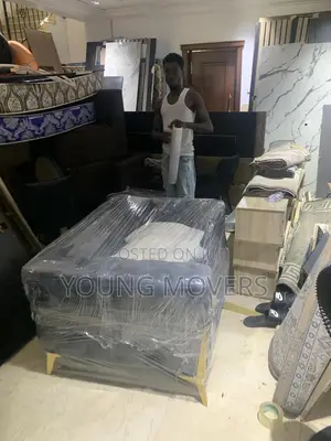 Professional Movers
