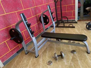 Xt Commercial Weight Bench