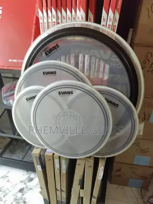 Original Evans Drum Velum.