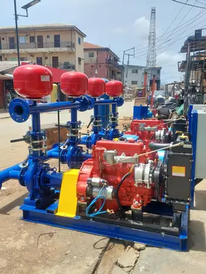 Booster Pump Head One Duty One Standby