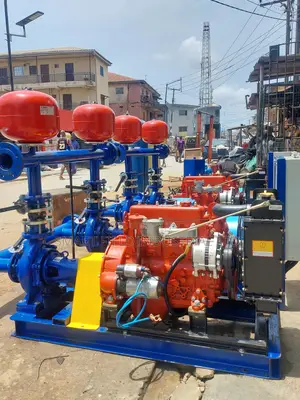 Booster Pump Head One Duty One Standby