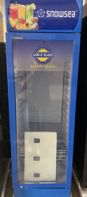 Snowsea Standing Chiller 300 Liters (Blue Color)