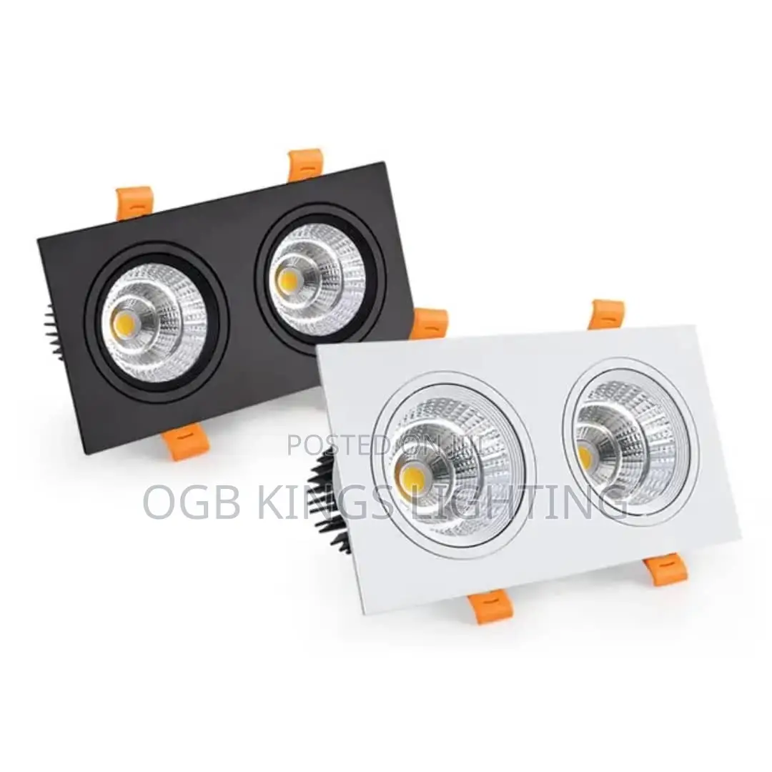 Double Square Led Downlight Light Cob Ceiling Spotlight14w