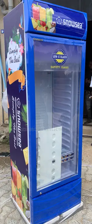 Snowsea Standing Chiller 400liters (Blue Color)