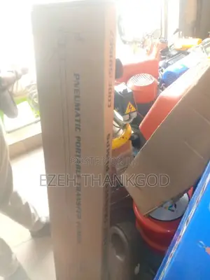 Pneumatic Portable Transfer Pumps