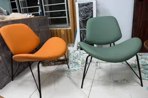 Beautiful Swan Chair for Homes