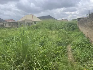 Half Plot of Land at Ajinde Road 6