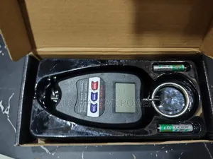 Crane Scale