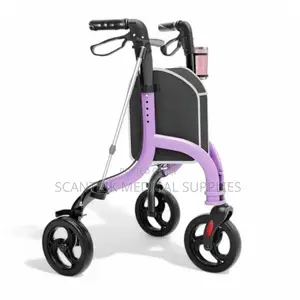 Three-Wheel Stability Walker