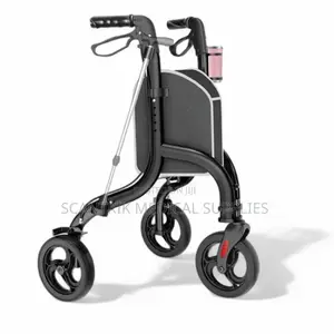 Three-Wheel Outdoor Walker