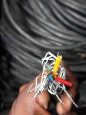 2.5mm 3 Core Nigerchin Cable