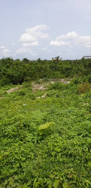 Hot and Guaranteed Sales in Isiwo Town