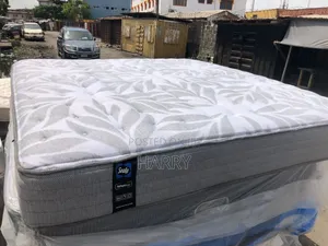 6/6 Canadian Orthopedic Spring Mattresses Kindly Place