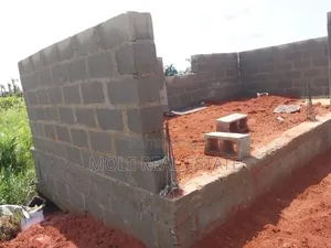 2 Plots of Land Ijegun-Ijegemo by Tailor Gasplant