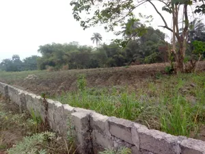 Distress Land for Sale at Atani/ Ogbaru Expressway Anambra