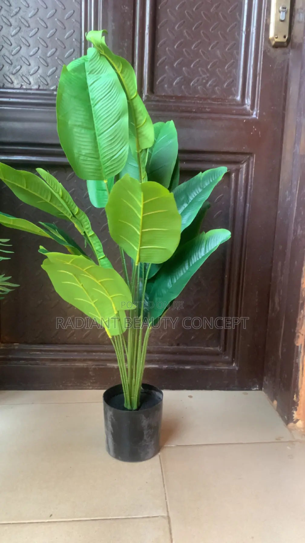 80cm Palm Tree Plant