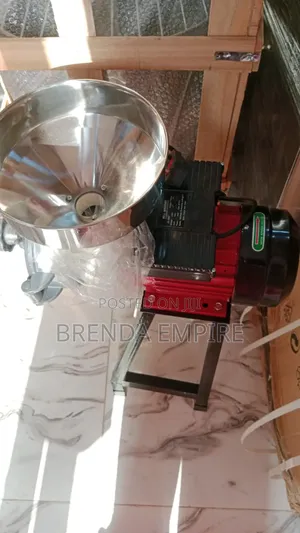 Wet and Dry Grinder