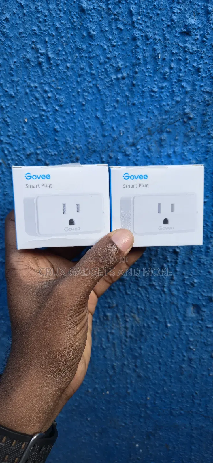 Govee Smart Plug