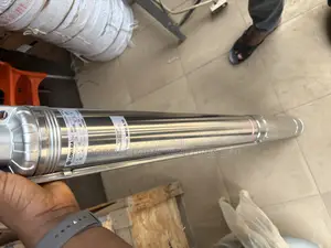 Lowara 3hp Submersible