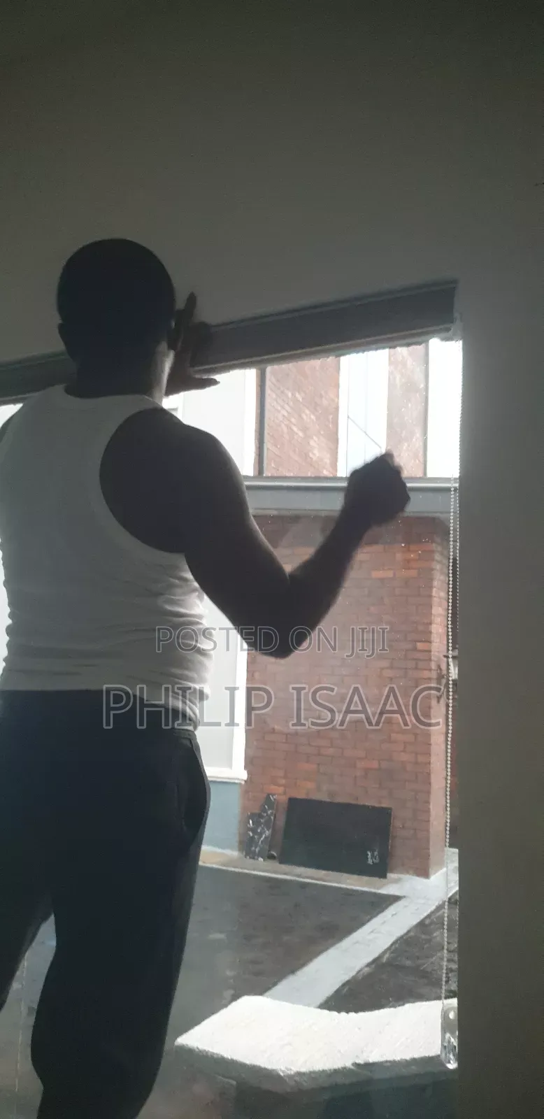 Window Blinds