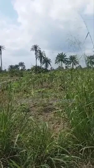 For Sale: 4 Plots