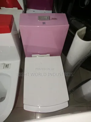 Smart Flush Water Closer