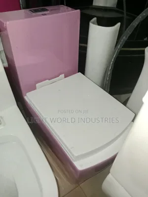 Smart Flush Water Closer