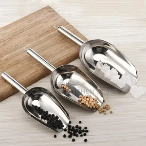 Stainless Steel Ice Shovel