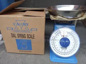 Spring Scale