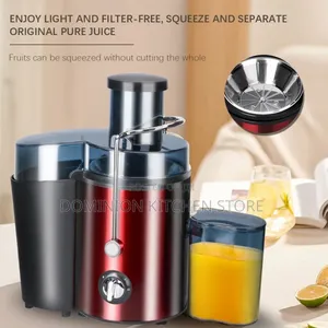 Raf Juice Extractor