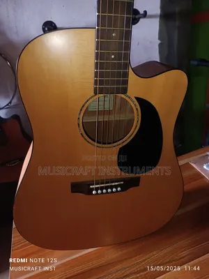 Syain Electro-Acoustic/Semi-Acoustic Guitar