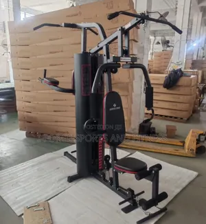 3 Station Home Gym