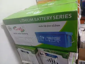 MSN Lithium Ion 12v 300ah Lifepo4 Battery
