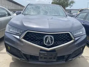 Acura MDX w/Advance Pkg SH-AWD 2018 Gray