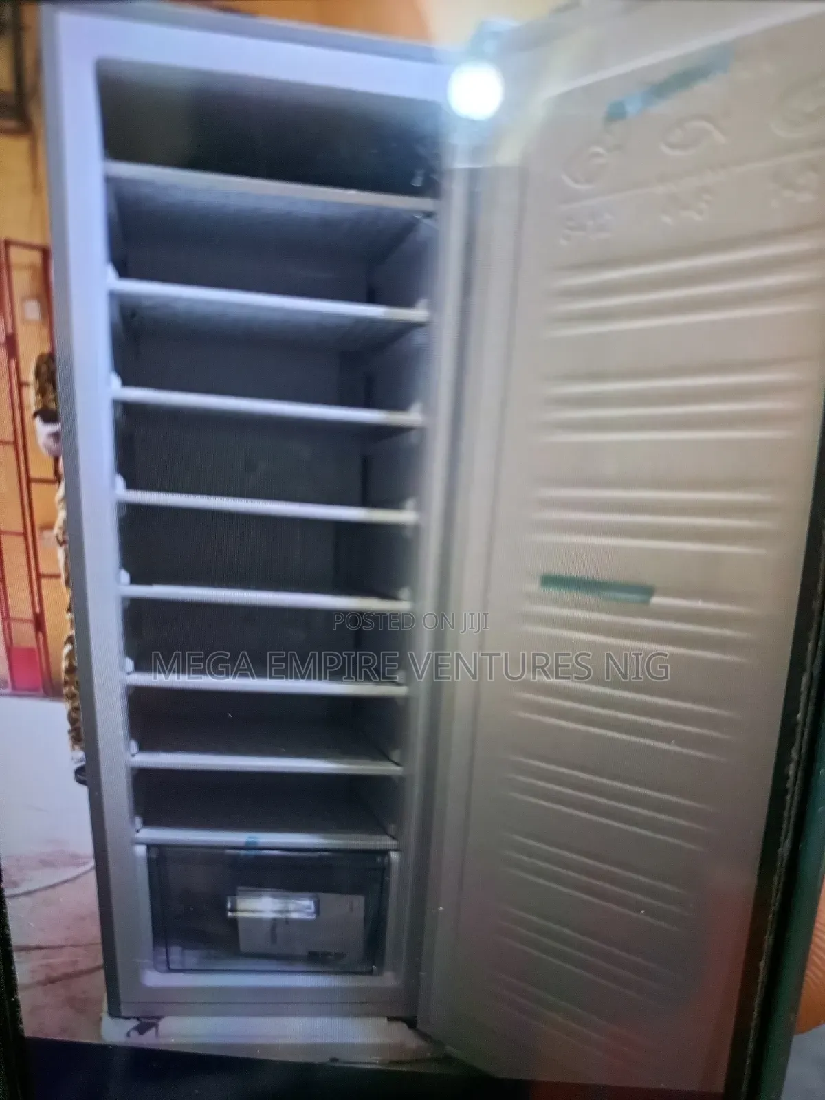 Standing Freezer
