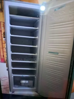 Standing Freezer