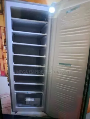 Standing Freezer