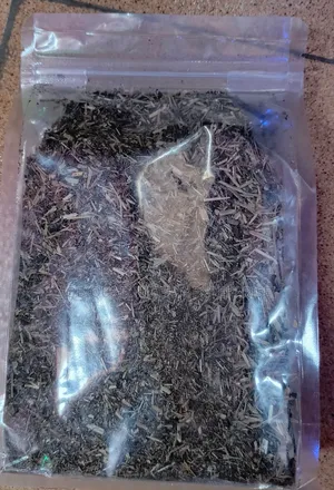 Blue Vervain Organic Herbs Also Known As Verbena 250g